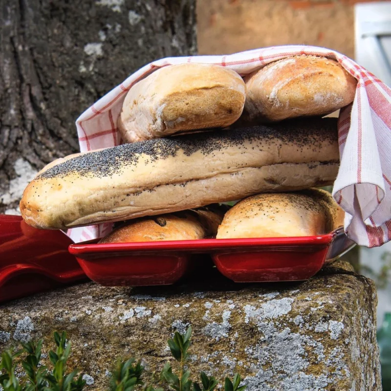 Molde Pan Ciabatta